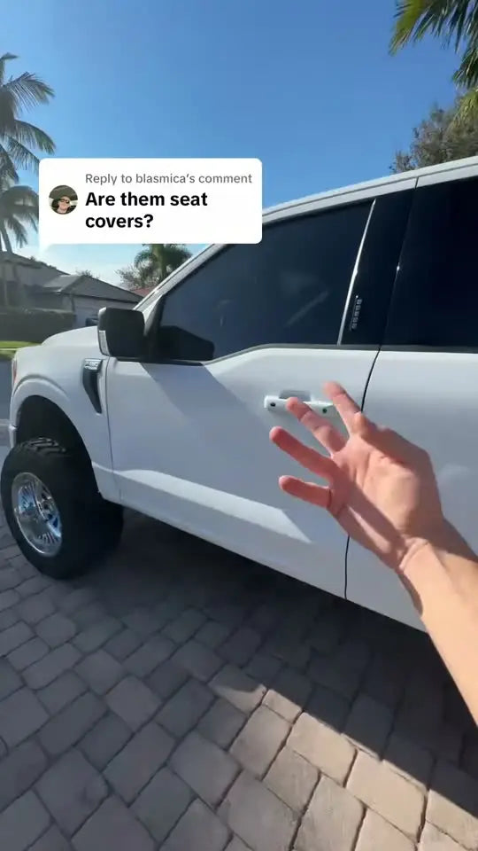 @xlt_who