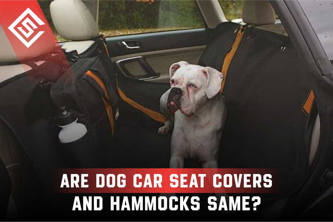 Are Dog Car Seat Covers and Hammocks Same?