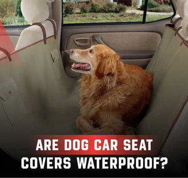 Are Dog Car Seat Covers Waterproof?