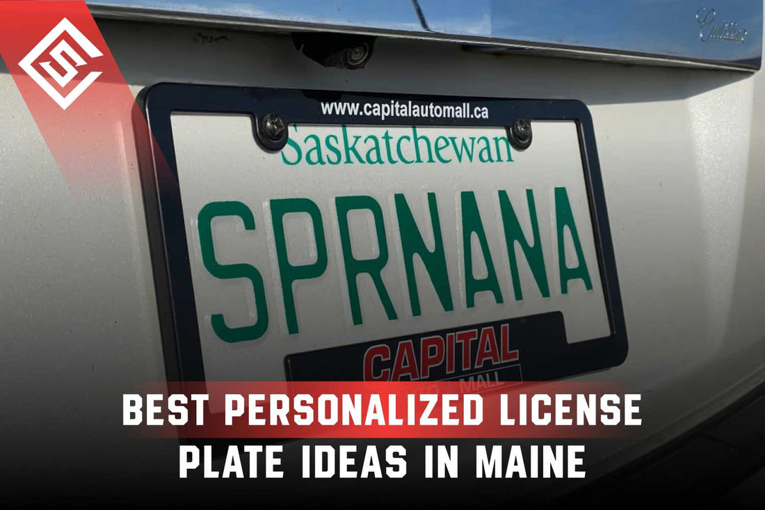 Best Personalized License Plate Ideas in Maine