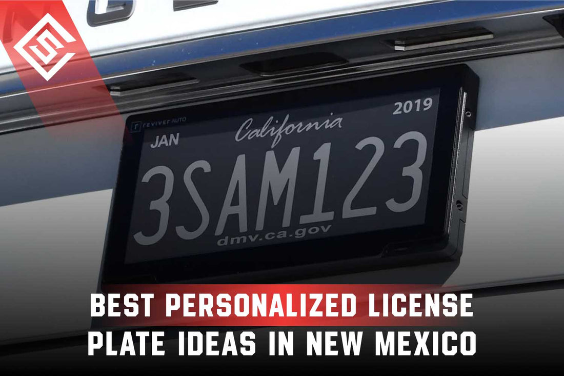 Best Personalized License Plate Ideas in New Mexico