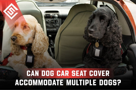 Can a Dog Car Seat Cover Accommodate Multiple Dogs?