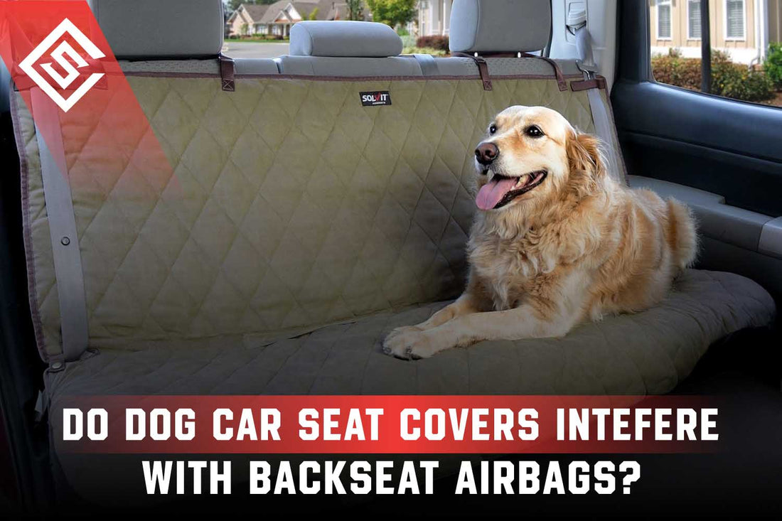 Do Dog Car Seat Covers Interfere with Backseat Airbags?
