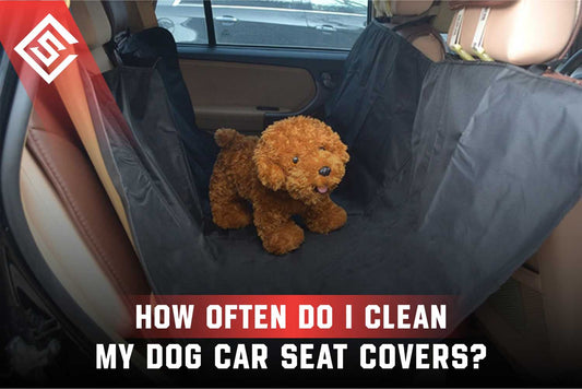How Often Should Dog Car Seat Covers Be Cleaned?