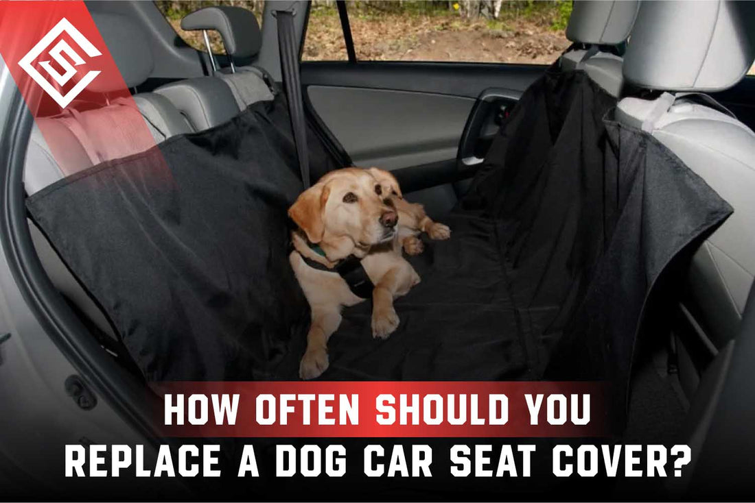How Often Should You Replace a Dog Car Seat Cover
