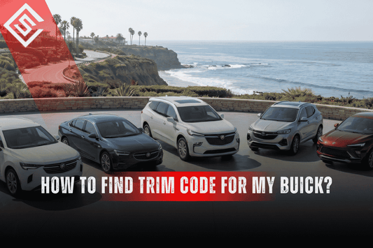 Buick cars parked by the coast with headline on finding trim codes for matching paint and interior color details.