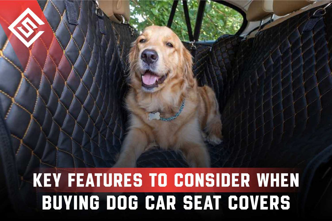 Key Features to Consider When Buying Dog Car Seat Covers