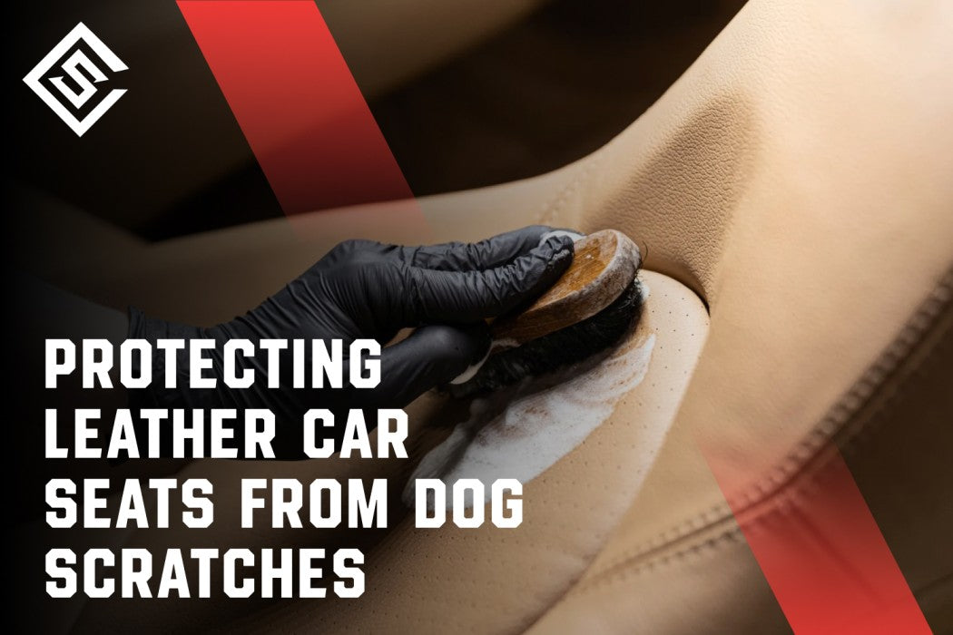 Protecting Leather Car Seats from Dog Scratches