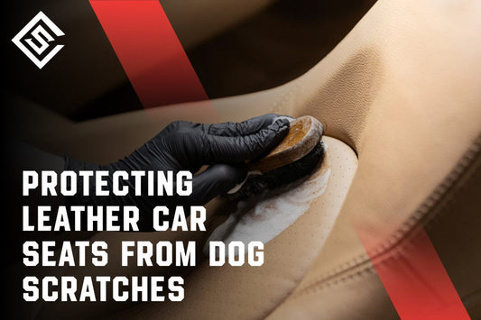 Protecting Leather Car Seats from Dog Scratches