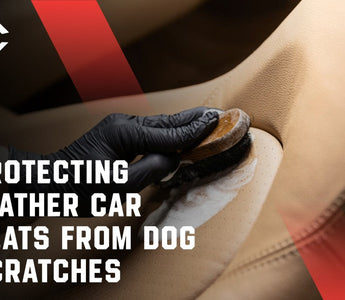 Protecting Leather Car Seats from Dog Scratches