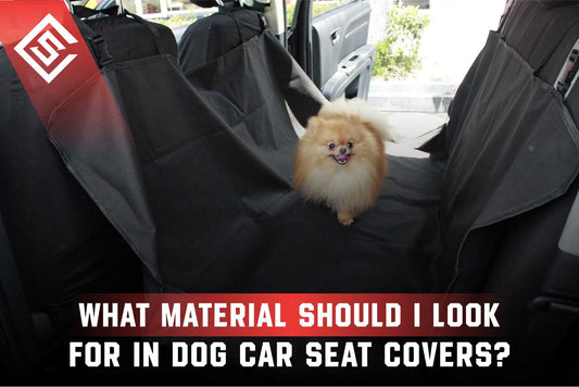 What Material Should I Look For in Dog Car Seat Covers?