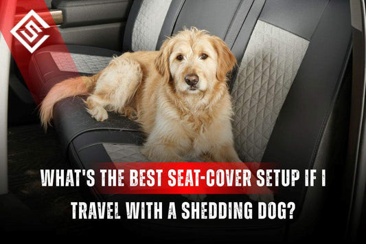 Shedding dog resting on a car’s back seat with a protective seat cover, showing a pet-friendly setup for clean travel.