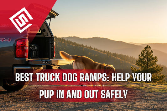 Best Truck Dog Ramps: Help Your Pup In and Out Safely