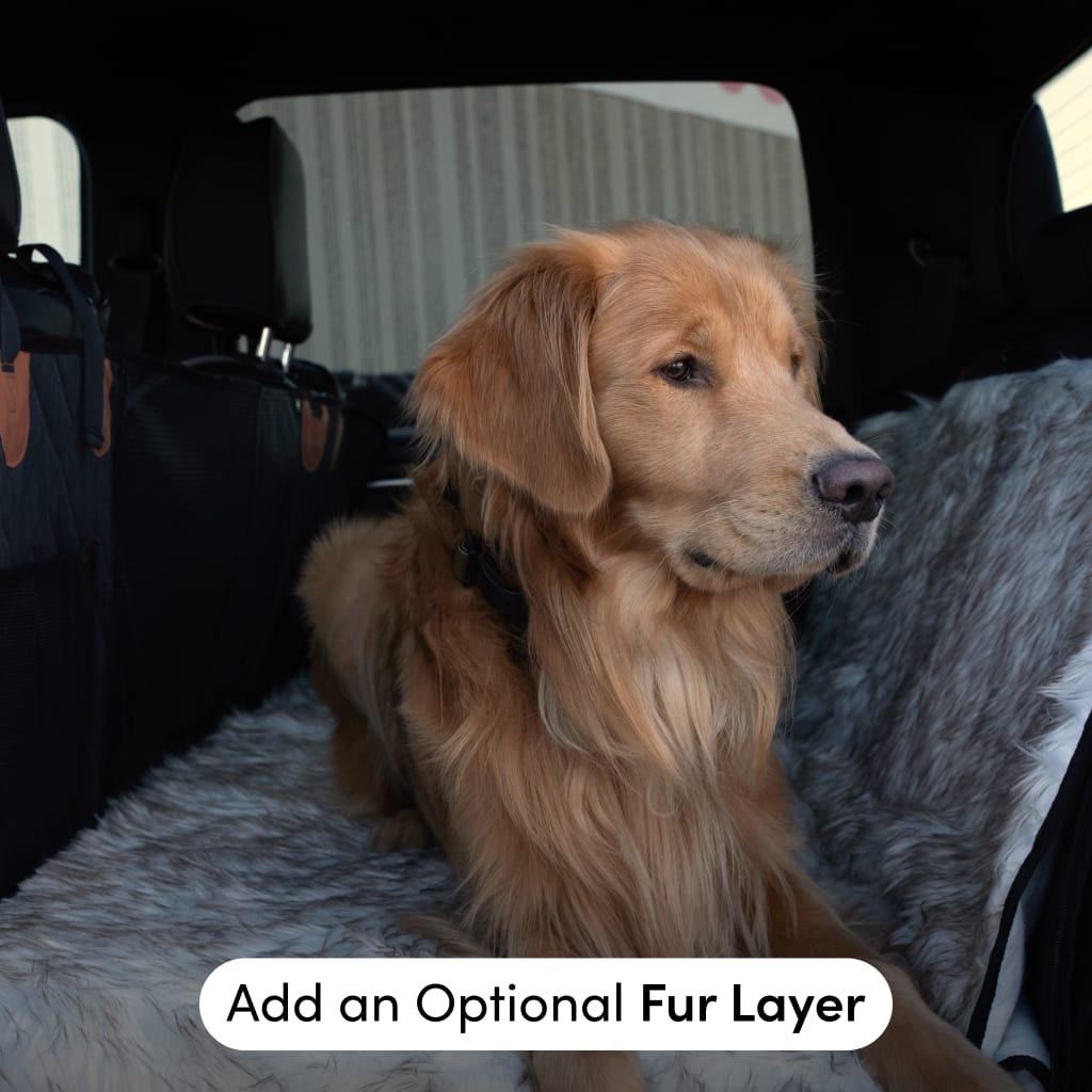 Fur Layer for PetSuite