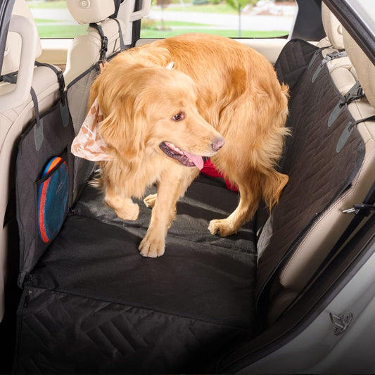PetSuite