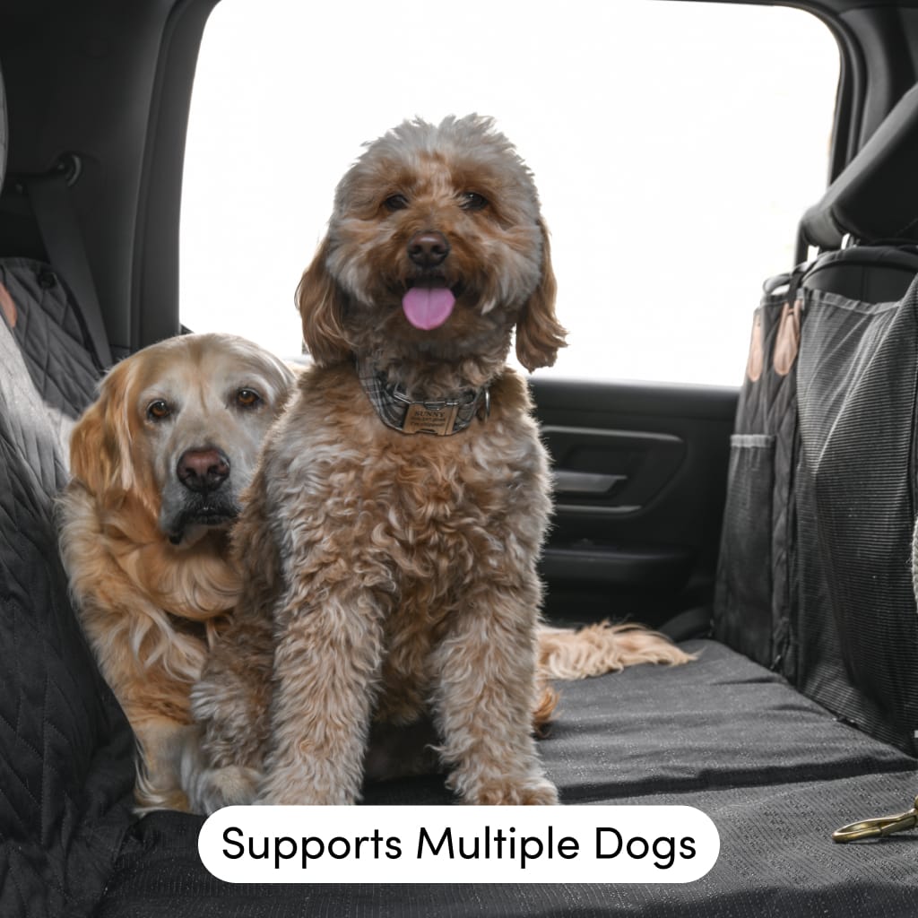 PetSuite Hard Bottom Dog Seat Protector (No Fur)